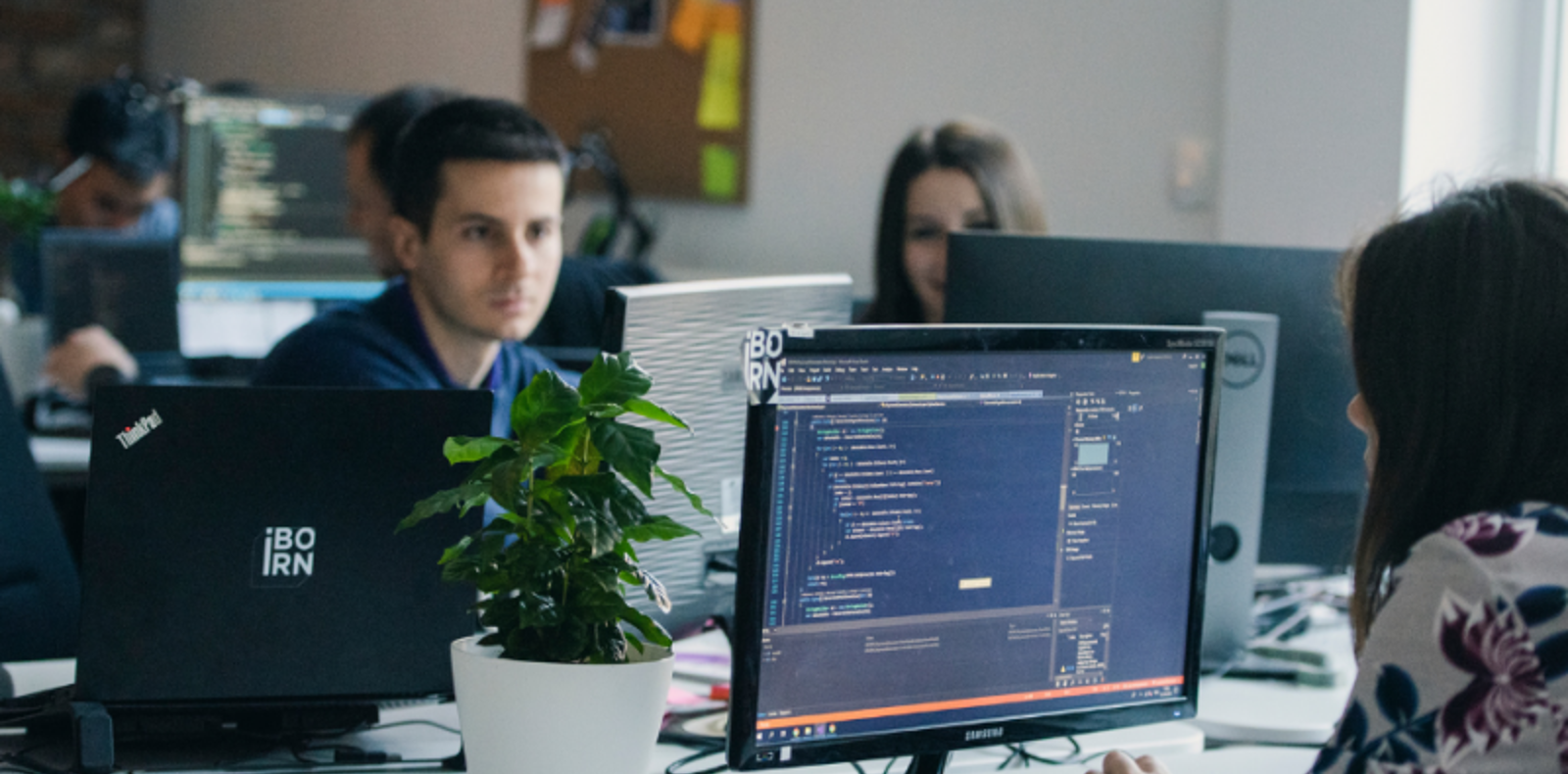 A diverse team of professionals diligently working on computers in a modern office setting.