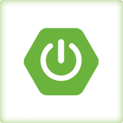 Springboot logo.