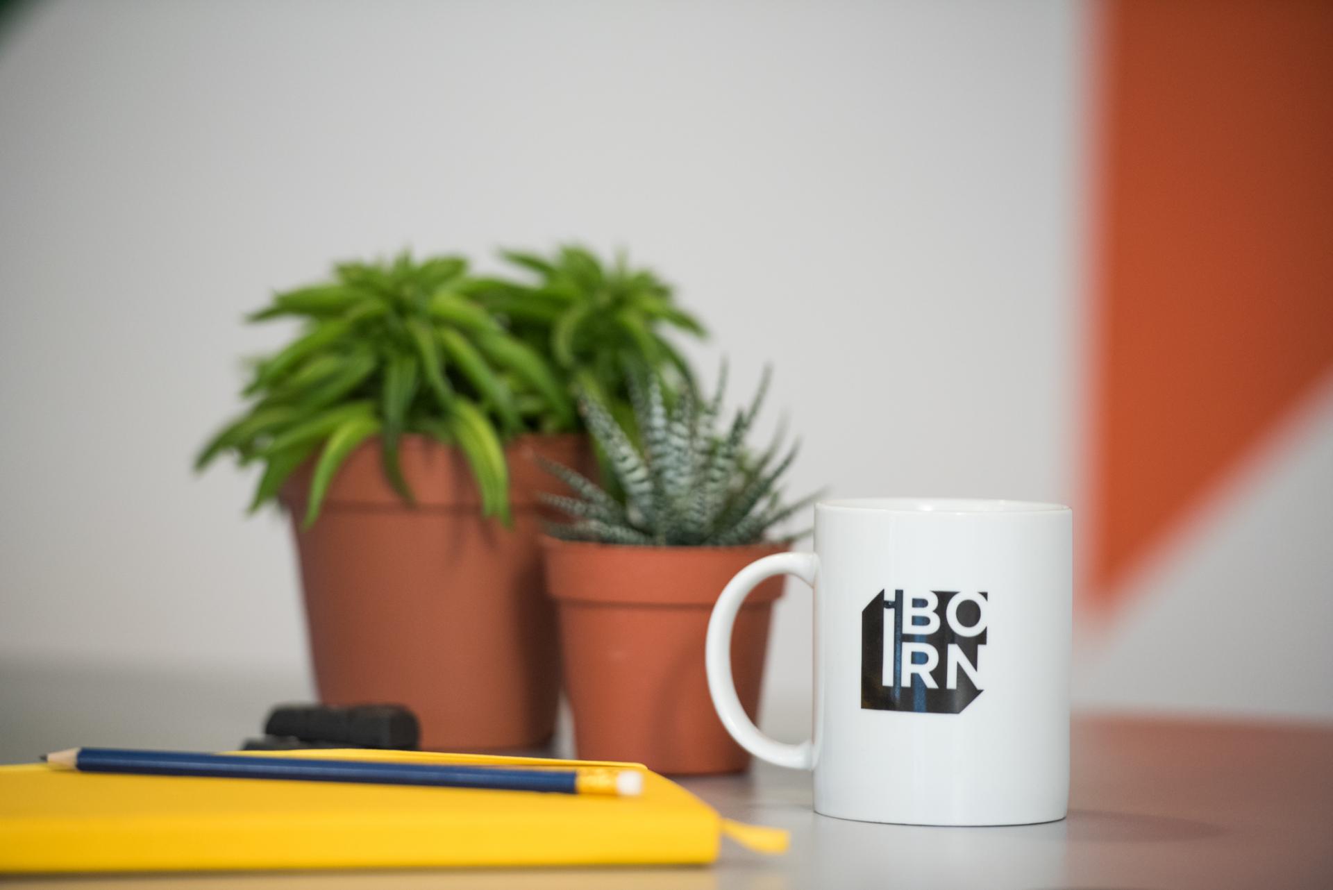 A mug with the iborn logo on it standing on a table next to a notebook and a pencil and succulent in the background.